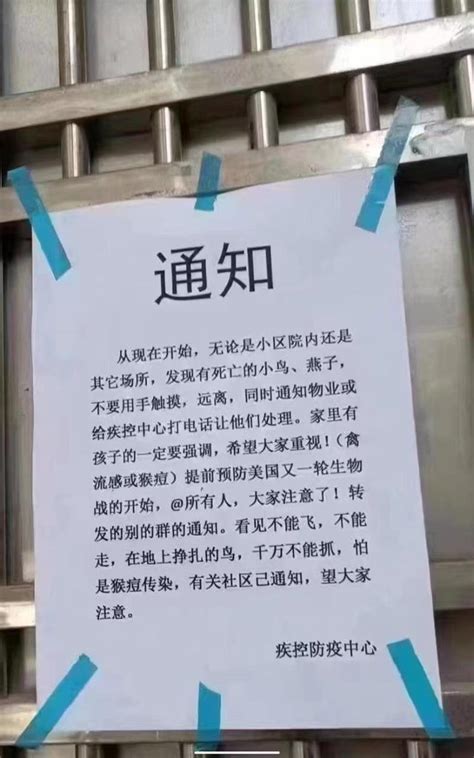 why there are no birds in china
